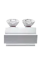 BARC-1017.webp