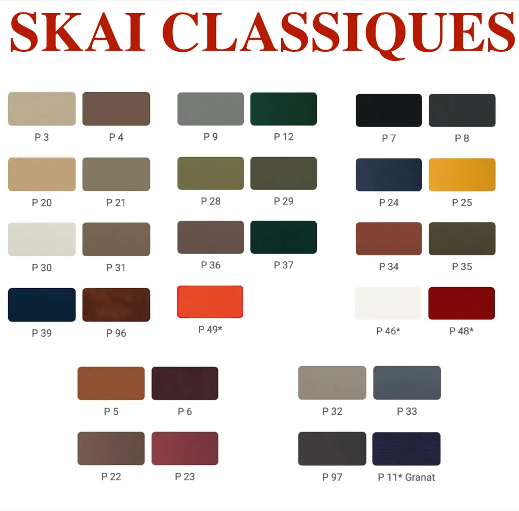 SKAI CLASSIQUE.webp