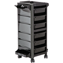 Chariot ›AVAYCO‹